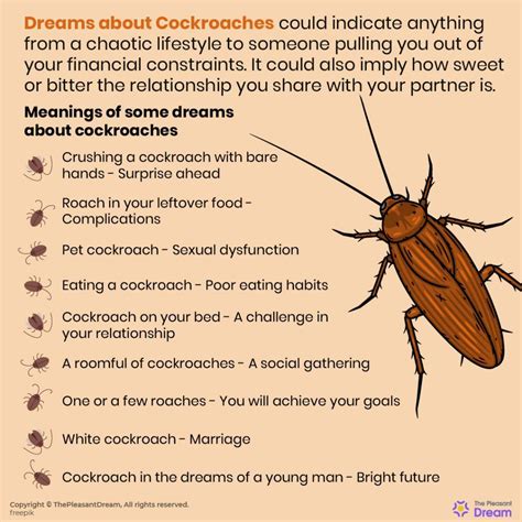 The Symbolism of Roaches in Your Dream